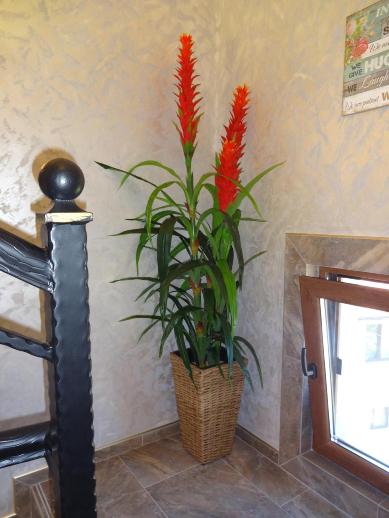 Apartments Dona チェルノモレツ エクステリア 写真